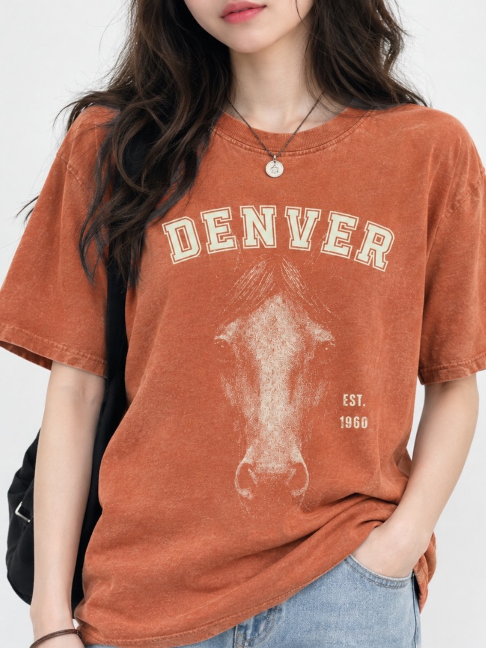 Comfort Colors Denver Horse Est. 1960 Vintage Rust T-Shirt